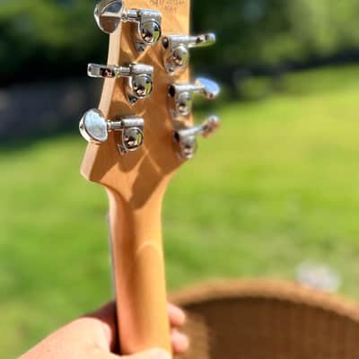 Gravity Guitar Semi Hollow Double cut Cherry Top USA custom HH 2026 - Nitro image 6