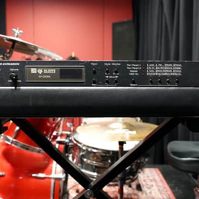 Roland M-GS64 Sound Expansion Module