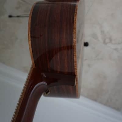 Rockbridge SJ - Cocobolo back, PLENTY of upgrades, Dave Matthews image 16