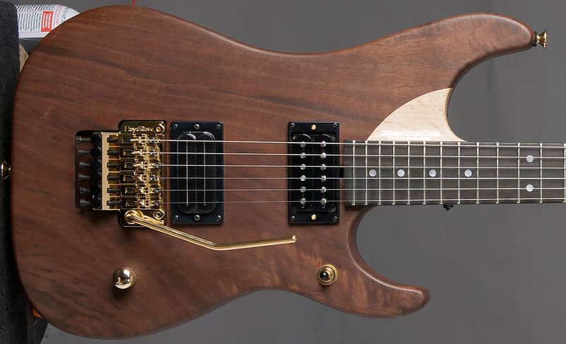 Washburn USA Nuno Bettencourt N4 Walnut Electric Guitar Birdseye Maple Neck w/ Hard Case image 1