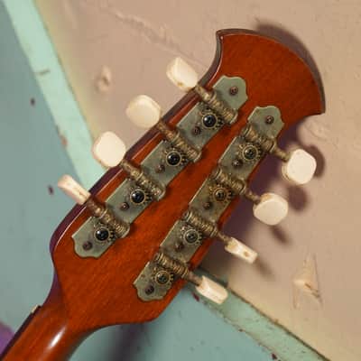 1970s Suzuki Spruce/Maple Bowlback Mandolin (VIDEO! Fresh Work, Ready) image 11