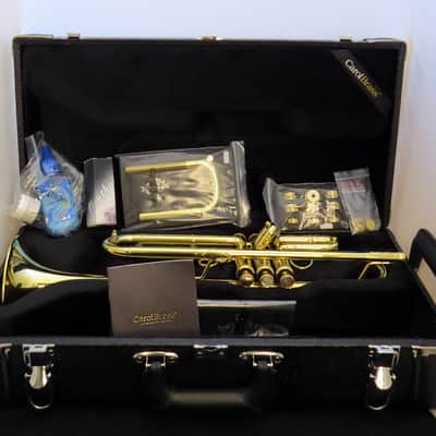 *Final Price* CarolBrass CTR-7772L-YLT-Bb-L Demo Stock Like New image 9