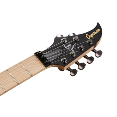 Caparison Dellinger Prominence-MJR, Michael J. Romeo Signature image 6