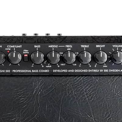 EBS Magni 502/210 | 500W 2x10" Bass Combo. New with Full Warranty! image 3