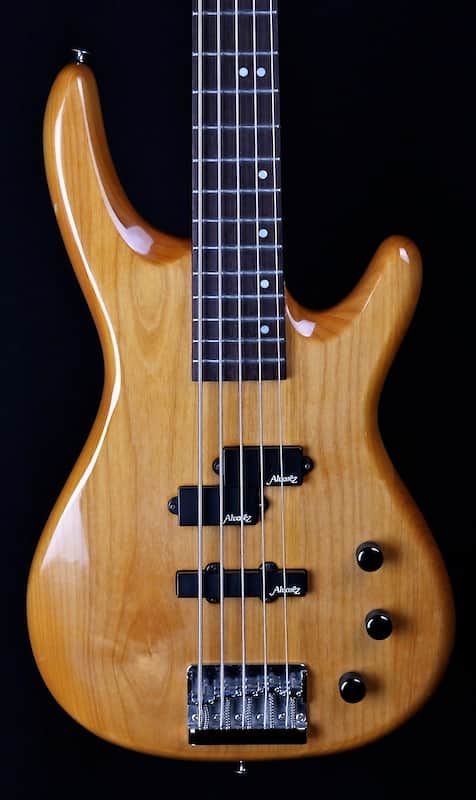 Alvarez Villain Series 5-String bass 1996 image 1