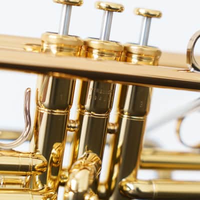 Yamaha YTR-8335RC Commercial Bb Trumpet (SN D948xx) image 13