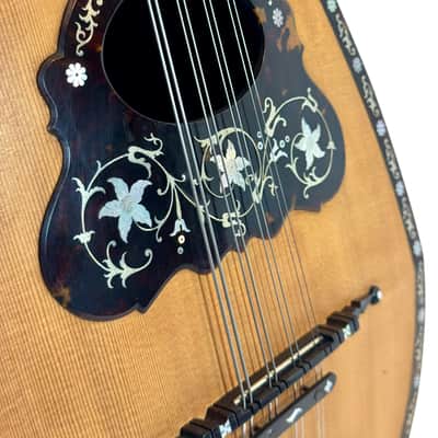 Umberto Ceccherini Mandola / Octave Mandolin (Giovanni Palladino Label) 1896 image 6