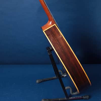 Giannini Craviola AWKNS6 / Nylon String and Bossa Ready! image 10