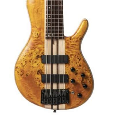 Cort A5PLUSSCAOP Artisan Series A5 Plus SC Bass Guitar. Amber Open Pore image 1