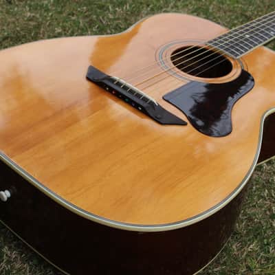 RARE Vintage 1964 Regal Model 235 Harmony Sovereign H-1260 Jumbo Acoustic Guitar W/ Case Restored! image 5