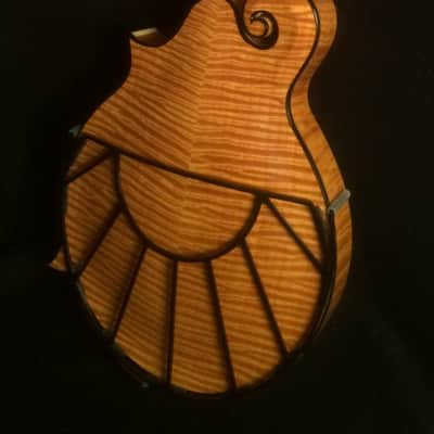 Mandolin Tone-Gard, SunriseGard, New, Black, Made in U.S.A. image 1
