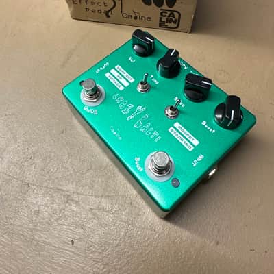 Caline CP-20 Crazy Cacti Overdrive 2010s - Green image 1