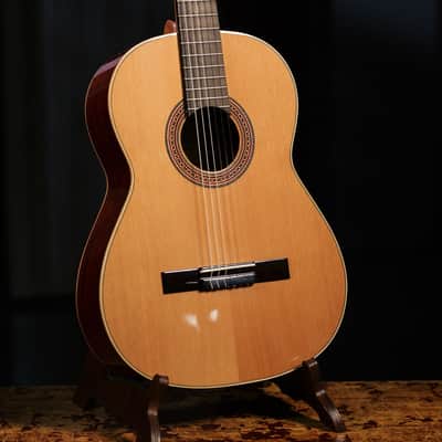 Ortega R200SN Traditional Series Cedar Top Mahogany Neck Nylon 6-String Classical Acoustic Guitar w/Gig Bag image 12