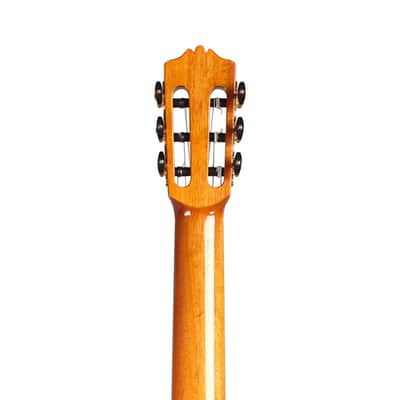 Cordoba C10 Cedar Classical Guitar image 7