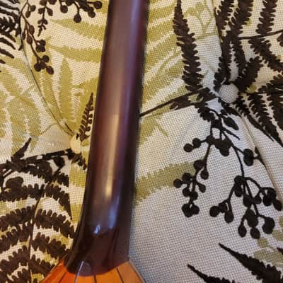 DP Prima Balalaika mid-2010s - gloss wood image 6