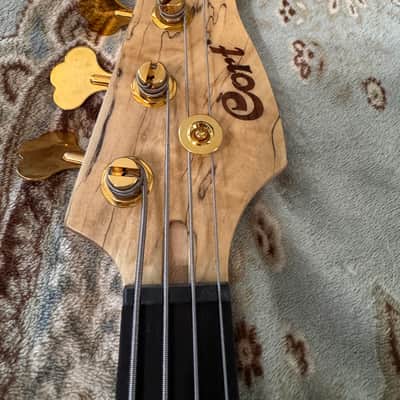 Cort Jeff Berlin Rithimic Bass w GATOR CASE Alder/Spalted Maple-Padouk Top Bartolini pickups image 9