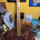 Fender 099-7702-921 Classic Series '72 Telecaster Deluxe Neck, 21-Fret 2004 - 2019 - Maple