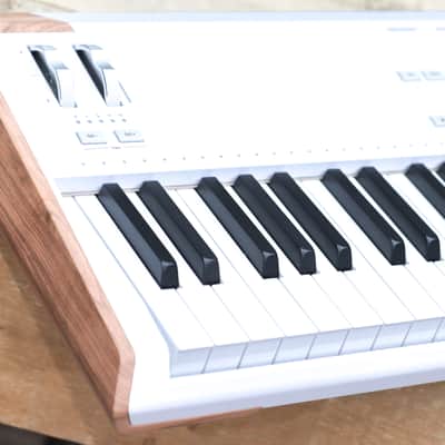 Arturia AstroLab 61 Avant-Garde Stage Keyboard 61-Note Semi-Weighted Keyboard image 2