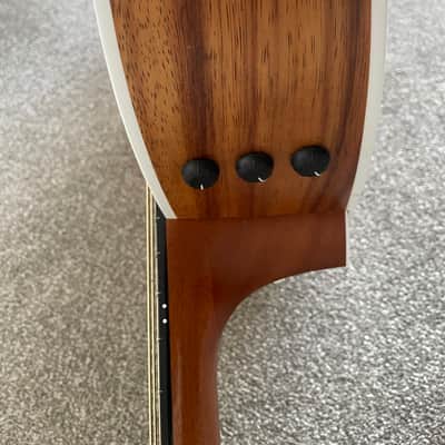 Taylor 214ce Walnut 2024 - Present - Natural image 6