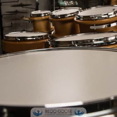 Peavey RBS-1 7-Piece Drum Set w/ Radial Pro 1000 8" Tom | 22/16/14/12/10/8/14SN image 10