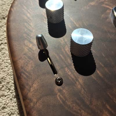 USA Custom Guitars Custom S Style image 14
