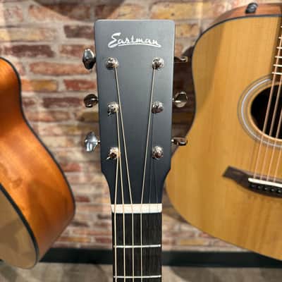 Eastman E1D - Natural image 5
