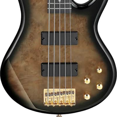 Ibanez GSR205PC GIO 5-String Bass Guitar, Purpleheart Fingerboard, Transparent Pale Black Burst image 1