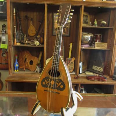 Unlabeled Bowlback Mandolin c.1910's image 3
