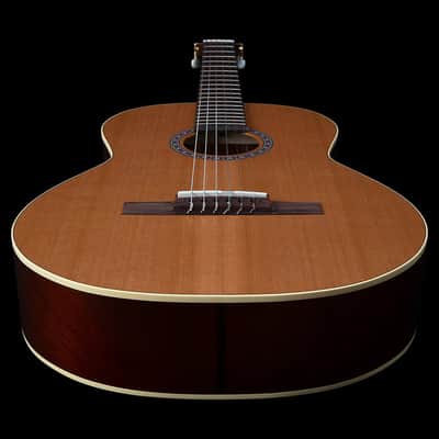 Godin Etude Clasica II Nylon String Electro Guitar image 6