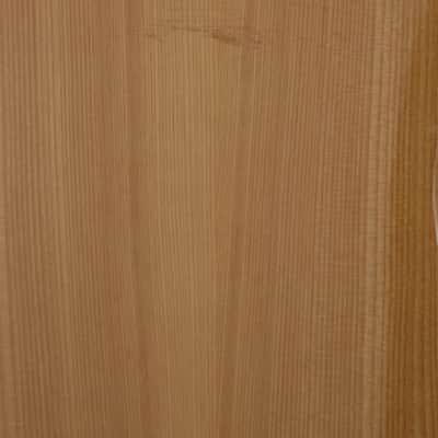 Fender Japan Thinline Telecaster Natural 1993-1994 image 15