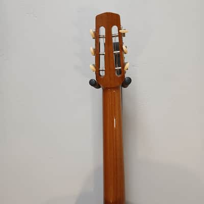 2024 Shelley D Park Rare Non-Cutaway Gypsy Jazz w/ Structured Gig Bag image 8