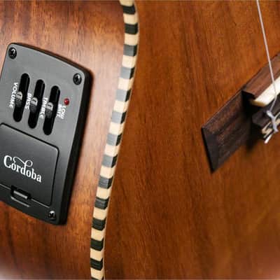 Cordoba 25T-CE Acacia Acoustic-Electric Tenor Ukulele image 4