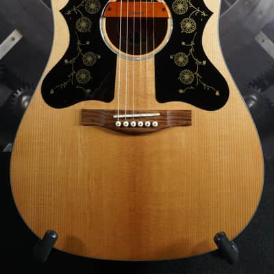 Eastman PCH1-D Dreadnought Acoustic Guitar w/ Eastman Gig Bag & Pickup – Players Grade image 5