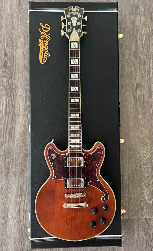 D'Angelico Deluxe Brighton image 1