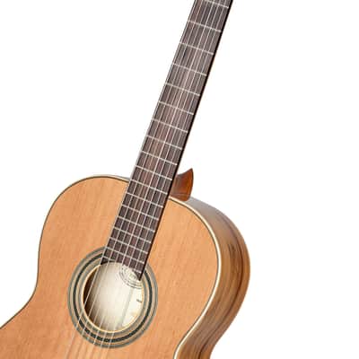 Ortega R20GSNRG Traditional Series Solid Cedar Top Mahogany Neck Nylon 6-String Classical Acoustic Guitar w/Gig Bag image 8