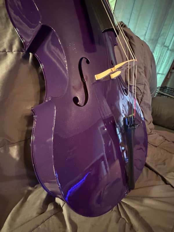 Cecilio CCO-Purple 2013 - Purple with Bellafina Hard Shell Case image 1