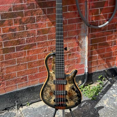 Mayones Caledonius 5 string Bass 2024 - stunning boutique bass & 1 of the coolest designs ever ! image 2