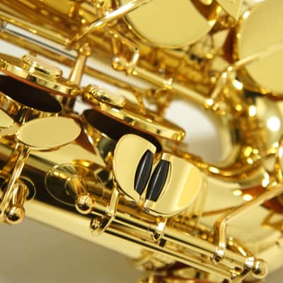 【Special price】 Yanagisawa A-WO1 [AW01] Professional Alto Saxophone image 14