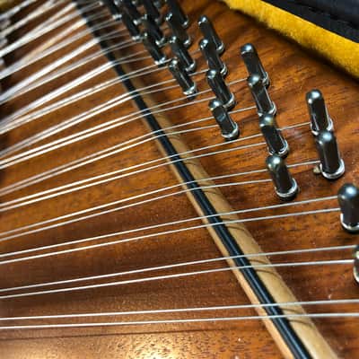Dusty Strings D10 Dulcimer image 6