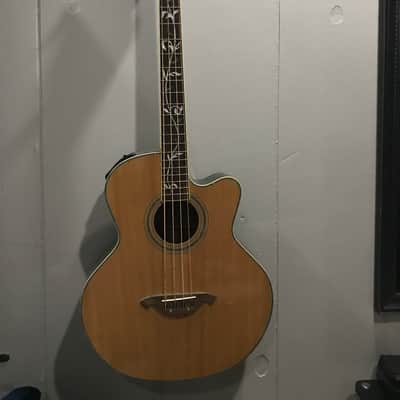 Waterstone Acoustic Bass guitar image 1