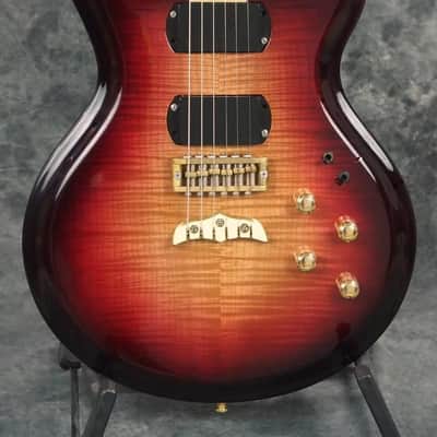Alembic Skylark 6 String 25.5 inch Long Scale Electric Guitar with Case image 1