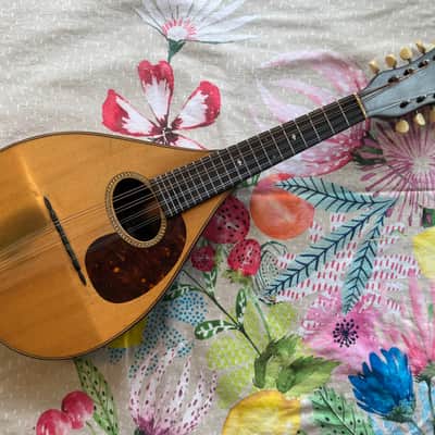 1919 C.F. Martin & Co. Style B Mandolin – All Original w/Case – Excellent Condition image 1