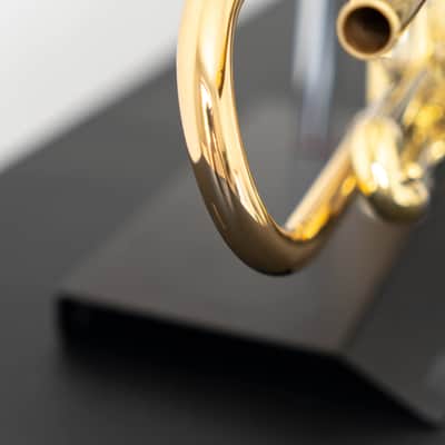 Yamaha YTR-8335IIG Xeno Bb Trumpet with Gold Brass Bell (SN 5731xx) image 21