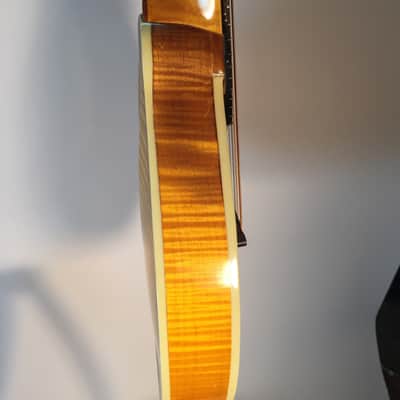 Unicorn Standard Model 1976 Sunburst Shaded image 6