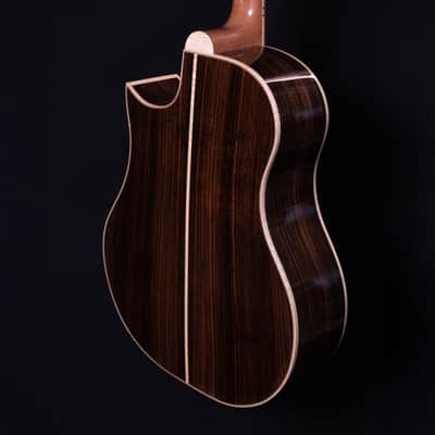 Custom Knight Solo Elite with Cutaway Acoustic Guitar image 7