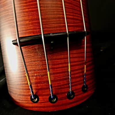 NS Design NXT4 Double Bass image 2
