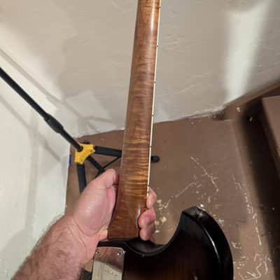 Novo Voltur Custom Built Version 1 image 4
