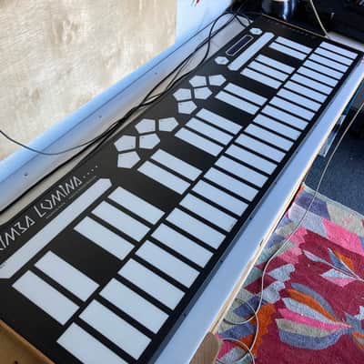Buchla Marimba Lumina 1999 black image 1
