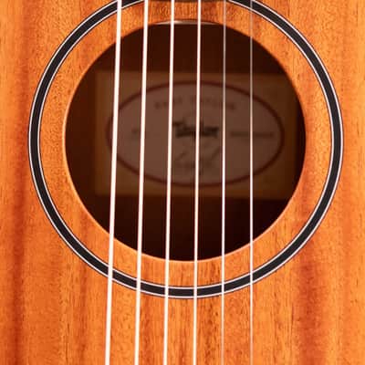 Taylor BT2 Mahogany Acoustic Guitar with Gig Bag image 10