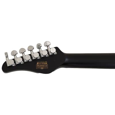 Schecter PT EX guitar in Dorian Gray B-Stock 0710 image 7